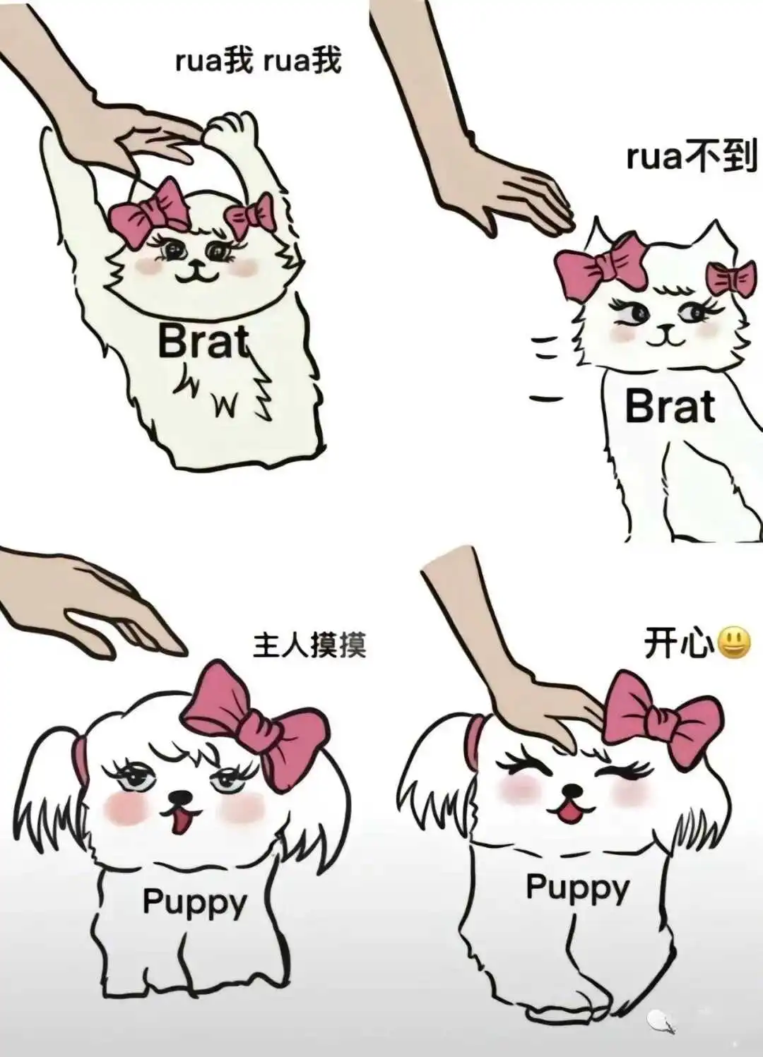 什么是sm亚文化?你需要知道的基本概念与实践技巧 一