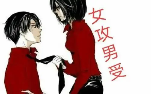“k8猫系”的魅力与神秘是如何吸引你的？ 一
