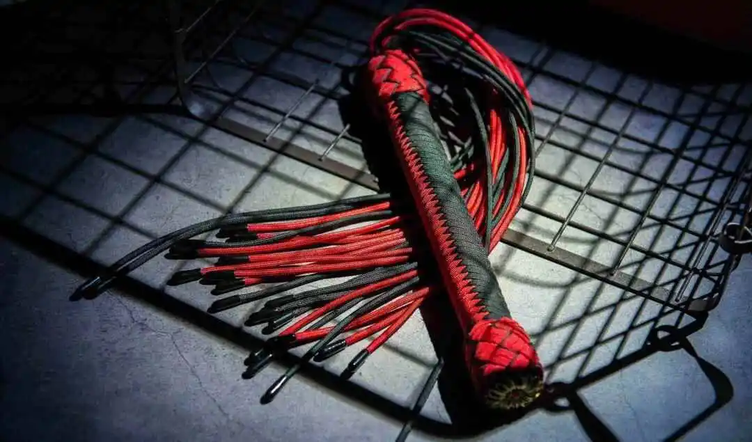 我发现我的另一半竟然是个热爱BDSM的女王 一