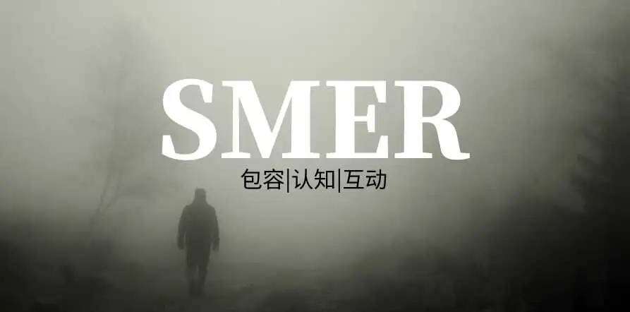 “s倾向”到底意味着什么？探索其背后的秘密与魅力 一