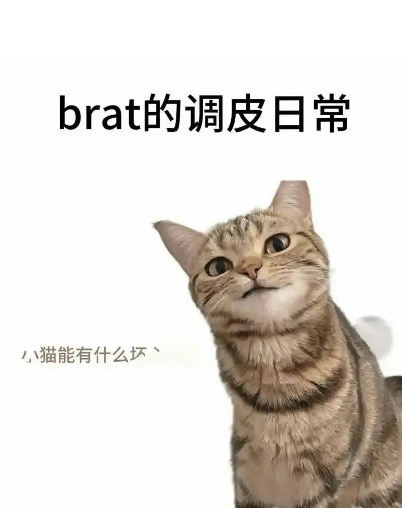 “探寻sm亚文化：为什么有些人对权力与服从的关系情有独钟？ 一