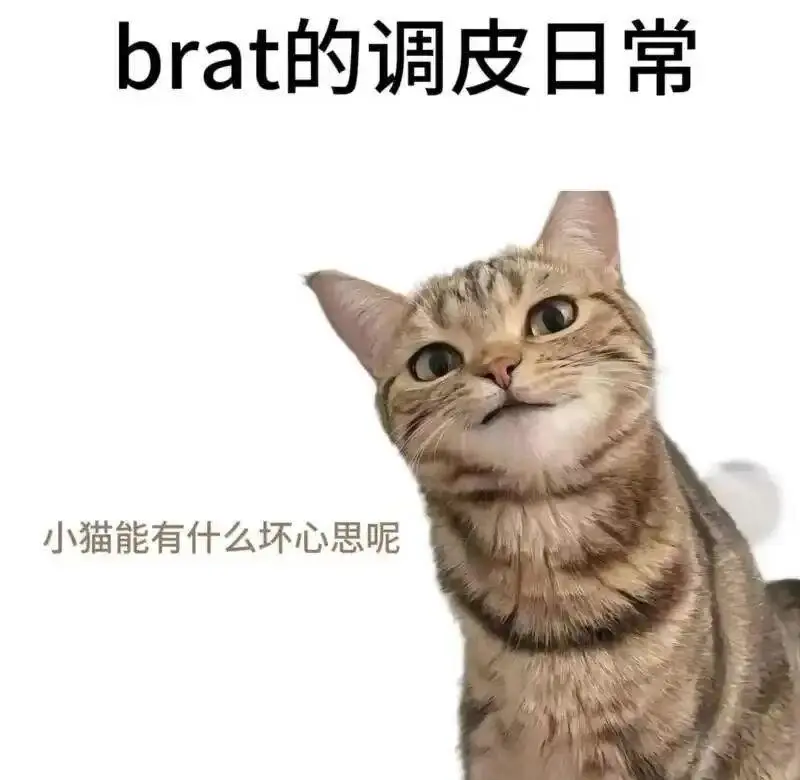 “K8”究竟是什么？揭秘这个字母圈中的角色扮演秘密！ 一