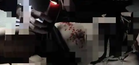 女王的掌控艺术：如何在BDSM中展现你的权威魅力 一