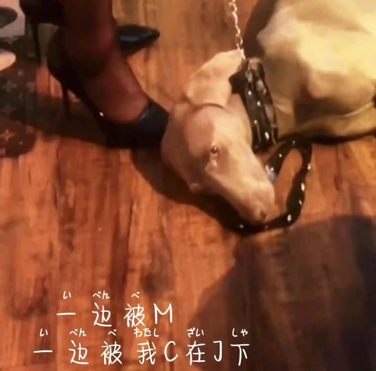 “S倾向”新手入圈前不可不知的秘密分享 一