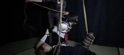 你知道sub是什么吗？探索我的秘密世界和那些不可思议的体验 一