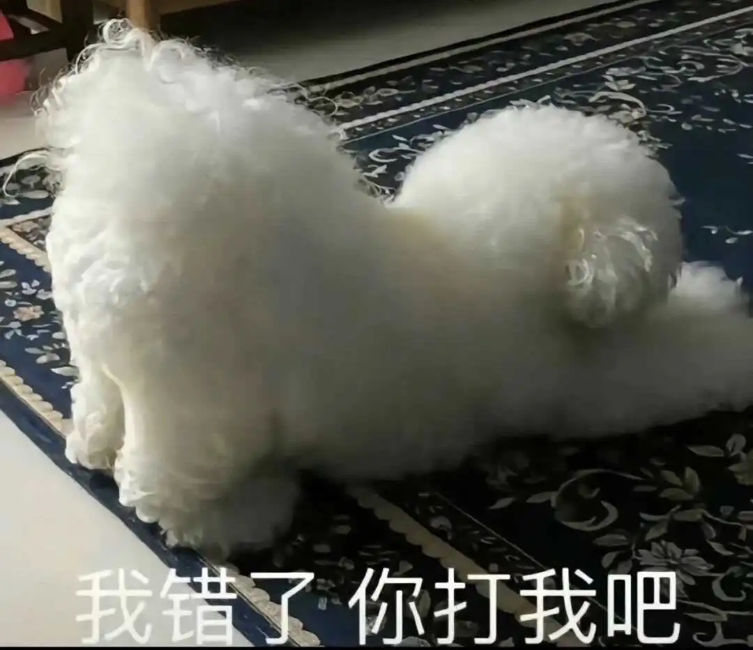 字母圈的世界:探索BDSM文化与实践的深度与乐趣 一