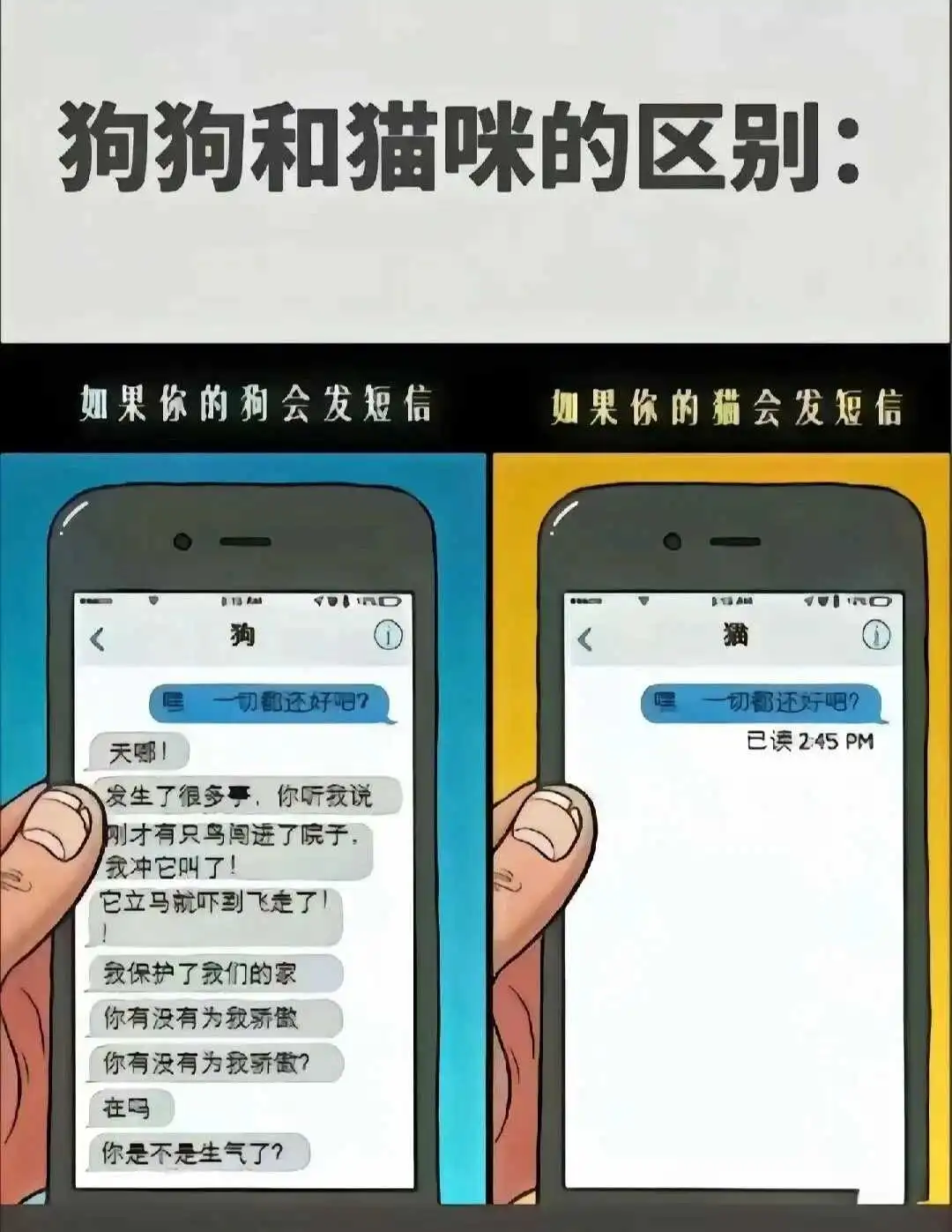 斯慕圈的秘密——探索那些不为人知的情感羁绊与互动规则 一