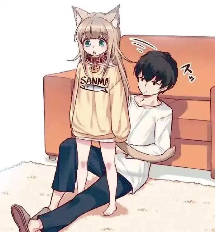 k8猫系到底是什么?揭秘这个迷人世界的秘密! 一