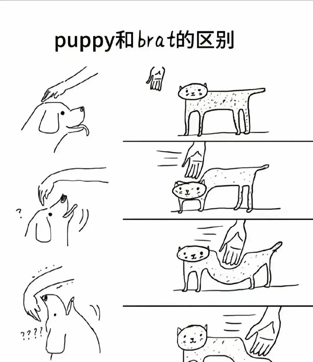字母圈入圈指南-如何找到属于你的独特身份与伙伴 一